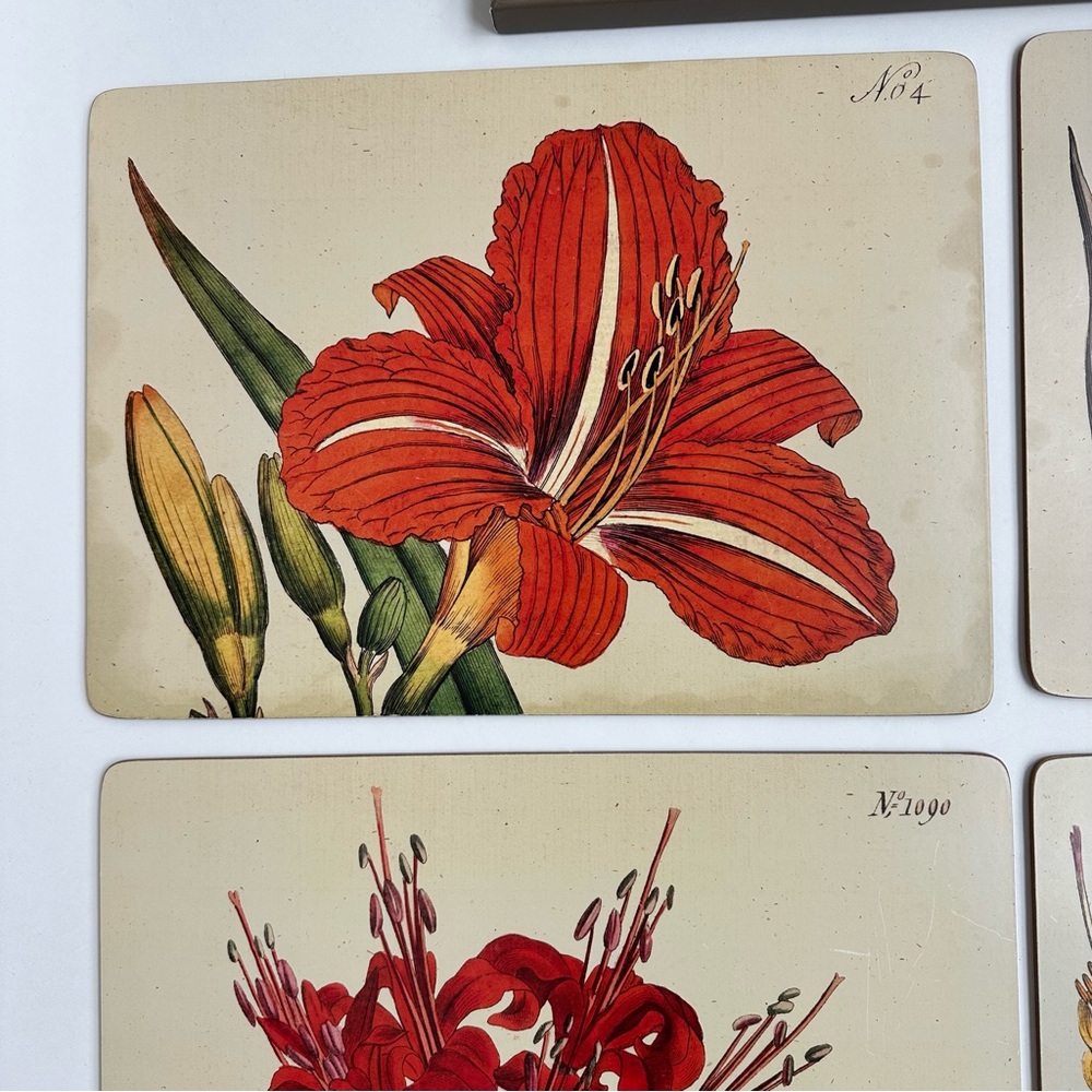 Cala Home Hardboard Cork Backed Floral Placemats from Colonial Williamsburg - Picture 3 of 13